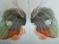 �����������