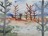 �����������