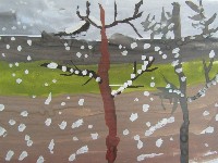 �����������