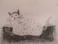 �����������